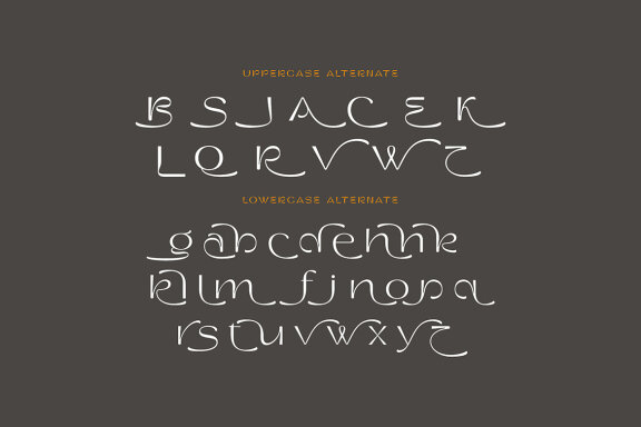 Christine Edwards Modern Sans