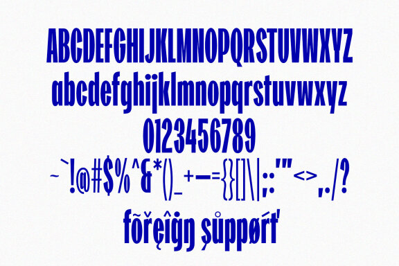 Reprizo Condensed Sans Display Font
