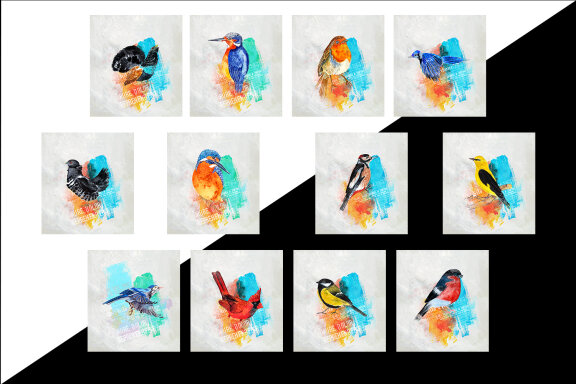 Set of cute birds - boho style watercolor