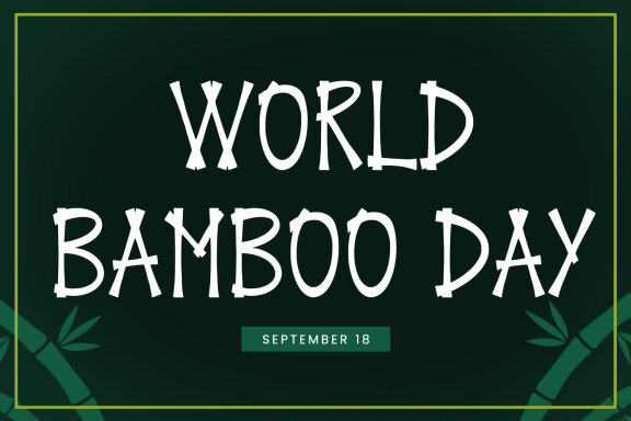 Bamboo Village Display Font