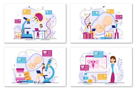 12 IVF or In Vitro Fertilization Illustration