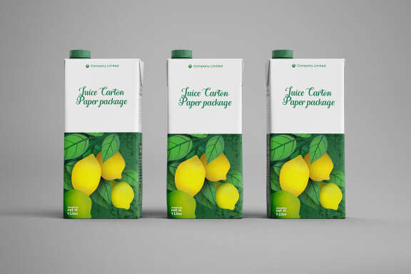 Tetra Pack Fruit Juice Carton Mockup