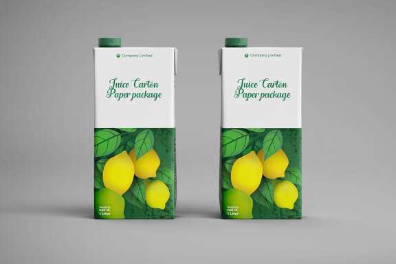 Tetra Pack Fruit Juice Carton Mockup