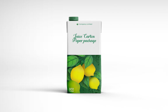 Tetra Pack Fruit Juice Carton Mockup