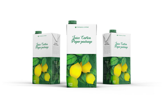 Tetra Pack Fruit Juice Carton Mockup
