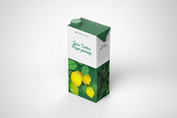 Tetra Pack Fruit Juice Carton Mockup