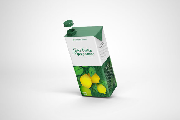 Tetra Pack Fruit Juice Carton Mockup