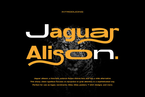 Jaguar Alison Stretch Sans