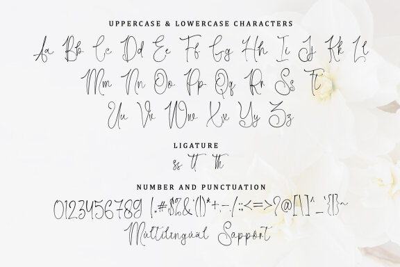Souttia Script