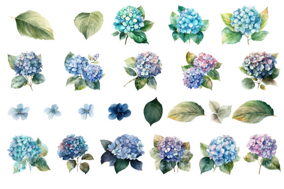 Blue flower. Watercolor clipart collection Bundle