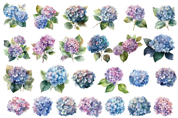 Blue flower. Watercolor clipart collection Bundle
