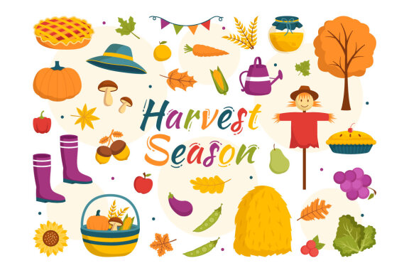 15 Harvest Season FREE Vector Illustrations
