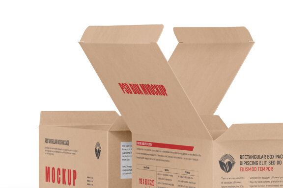 Rectangle Kraft Cardboard Paper Box Mockups