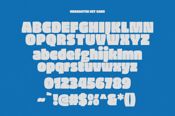Malleik Heavy Sans Display Font