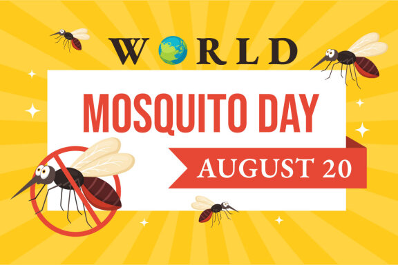 15 World Mosquito Day Illustration