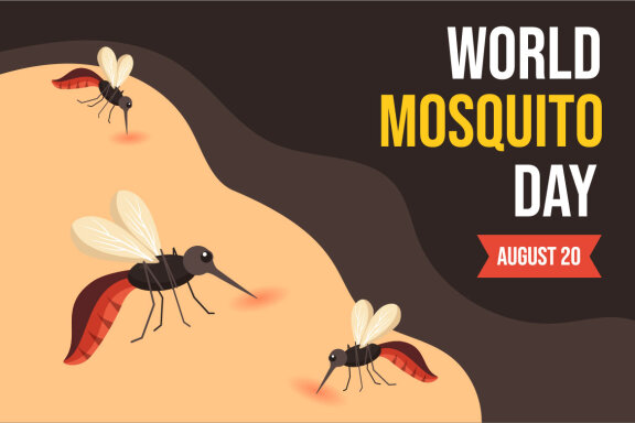 15 World Mosquito Day Illustration