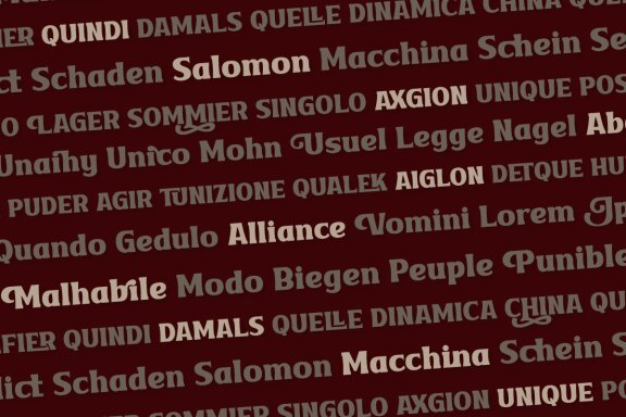 VAKOZI | Serif Classic Modernism