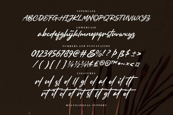 Browellay Synthya - Signature