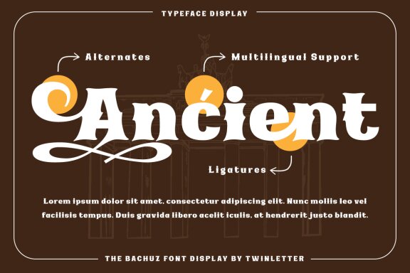 The Bachuz | Serif Classic Modernism