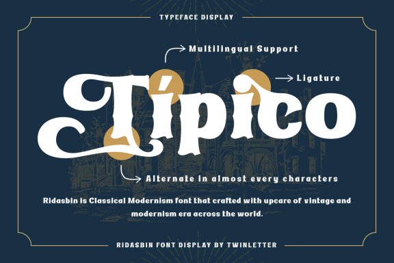 Ridasbin | Serif Classic Modernism