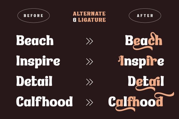 Refhdisav | Serif Classic Modernism