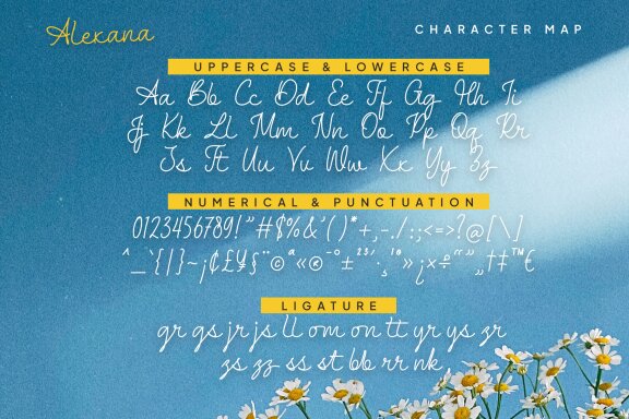 Alexana Monoline Script Font