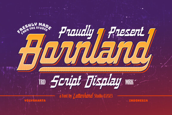 Borndland - Script Display