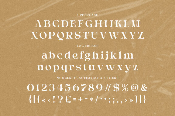 Italigia Retro Bold Serif