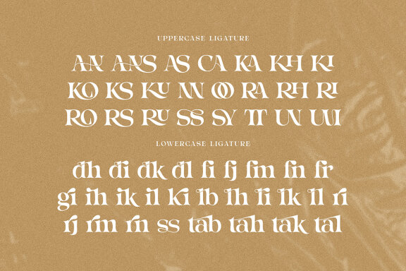 Italigia Retro Bold Serif