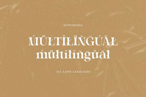Italigia Retro Bold Serif