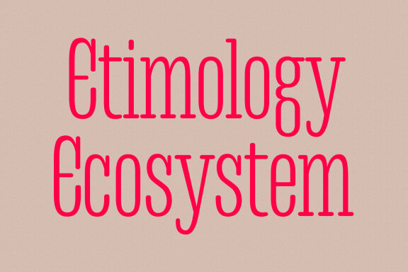 Noelles Condensed Display Font