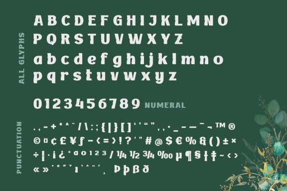 BAKRUV | Serif Classic Modernism