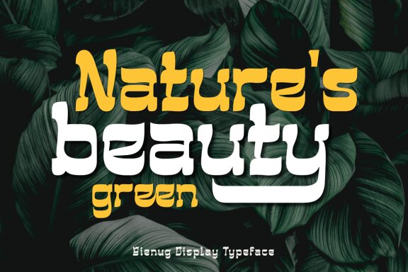 BIENUG | Serif Classic Modernism