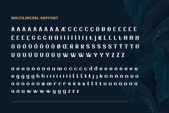 Drafbink | Serif Classic Modernism