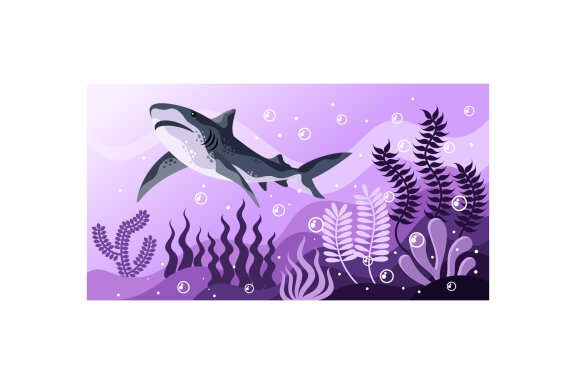 Shark Vector Illustration