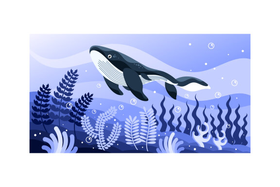 Whale Vector Illustration