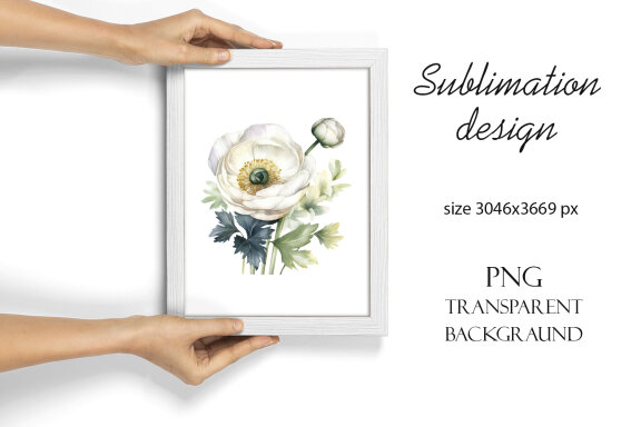 White Flower Watercolor Clipart Collection