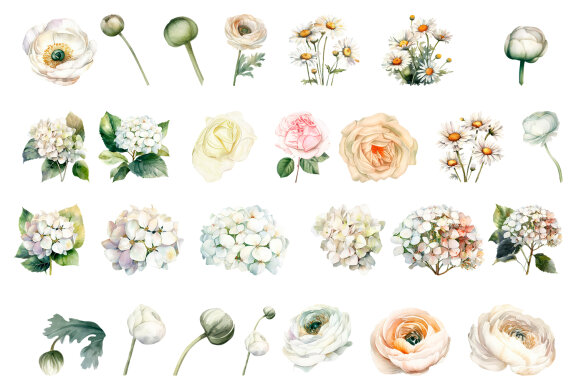 White Flower Watercolor Clipart Collection
