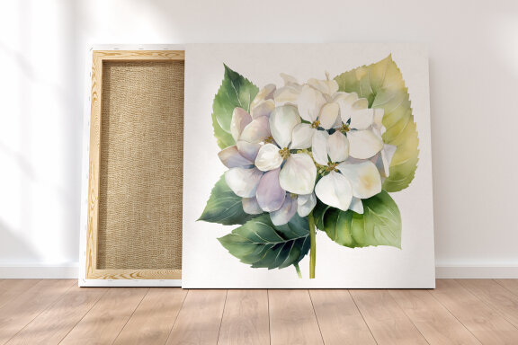 White Flower Watercolor Clipart Collection