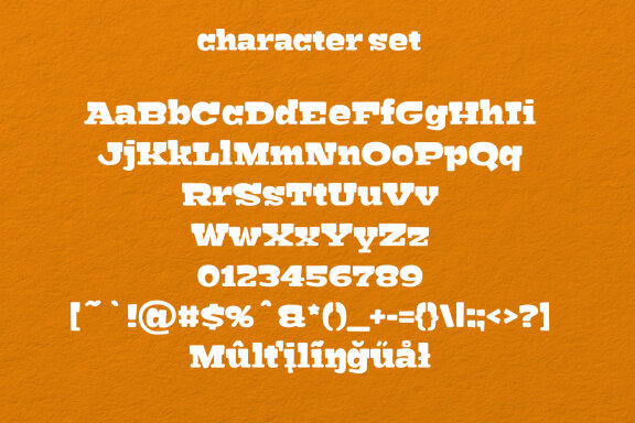 Groushy Display Slab Font