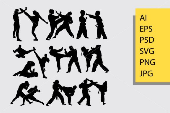 Fighting silhouette
