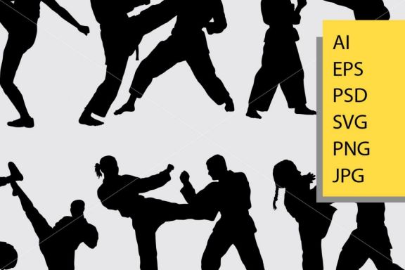Fighting silhouette
