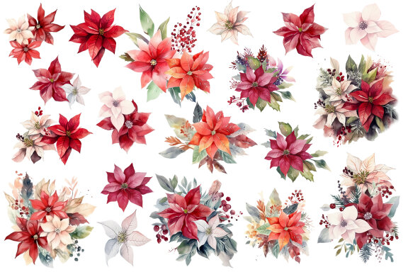 Watercolor Christmas Flowers Clipart