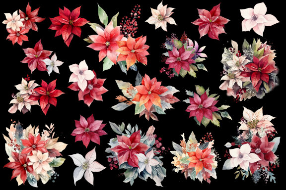 Watercolor Christmas Flowers Clipart