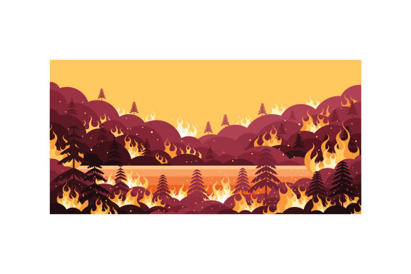Forest Fires Illustration