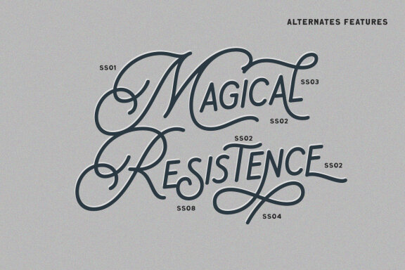 Daily Magnolines - Monoline Typeface