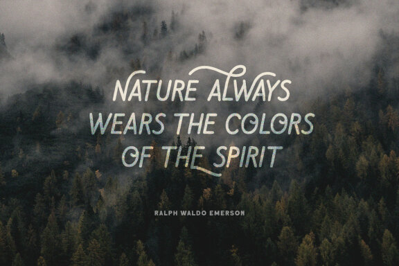 Daily Magnolines - Monoline Typeface