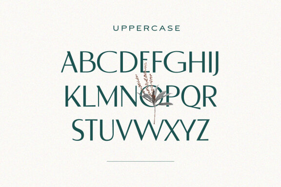 Derose Clean Modern Font