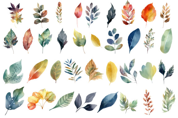 Leaves autumn clipart. Fall illustration Bundle