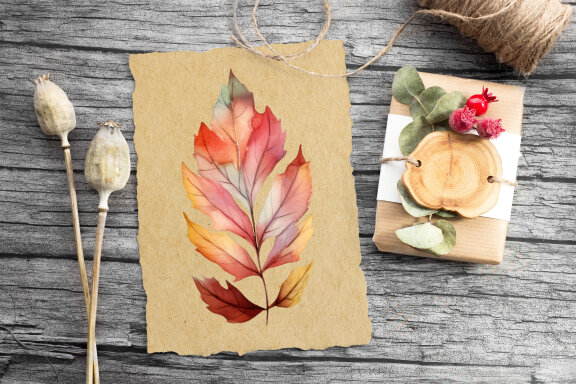 Leaves autumn clipart. Fall illustration Bundle